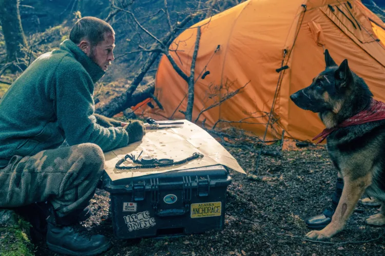 In 'Heart of the Beast,' Brad Pitt and a dog try to survive in the wild